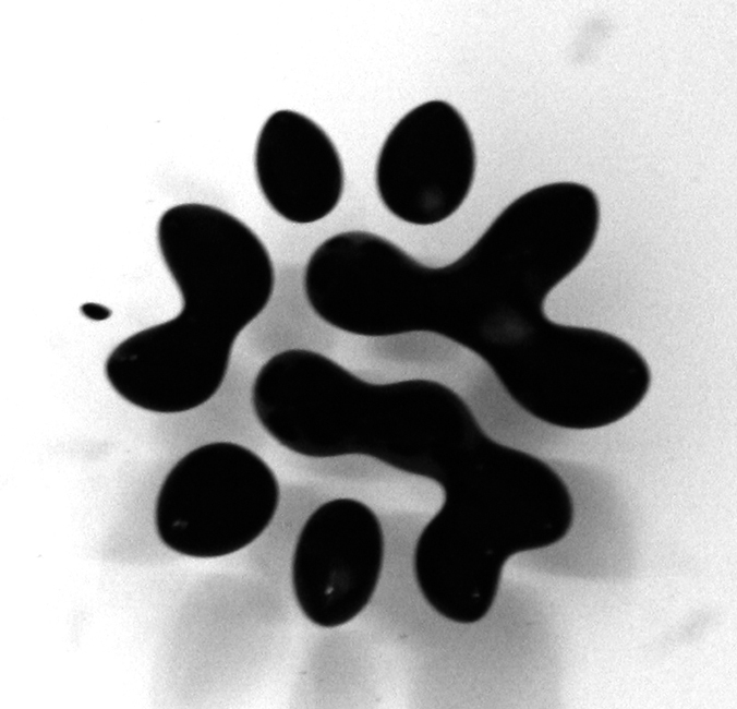 2009_Schwarmlabor_KlingFehse_Ferrofluid_Axel_Kufus